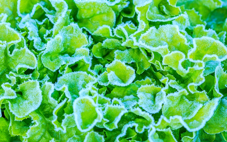 Exploitations agricoles : l’assurance contre l’inondation, la grêle, le gel ou la tempête