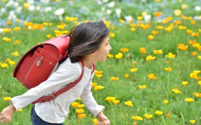 Trajet scolaire et assurances : questions – réponses